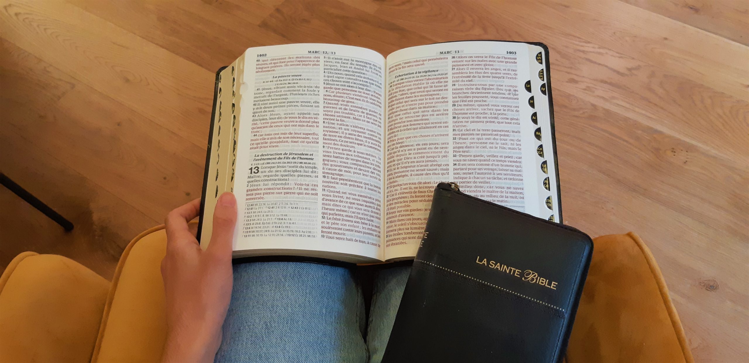 The Dove Translation French Bible Society